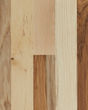 Natural Forest Hickory 3 1/4" Country Natural Hardwood