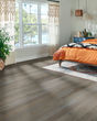 Natural Forest Oak 4" Understated Gray Hardwood