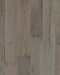 Natural Forest Oak 4" Winter Neutral Hardwood