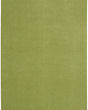 Nourison Essentials NRE01 Green Area Rug