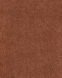 Dramatic Intrigue SmartStrand 70oz Carpet