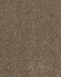 Glamourous Charm II Textured Carpet