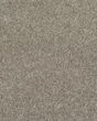 Fabric Of Life II Textured 32oz Carpet
