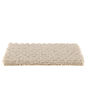 Luxurious Moment Patterned SmartStrand Carpet