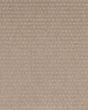 Luxurious Moment Patterned SmartStrand Carpet