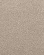 Willow Creek Textured SmartStrand 40oz Carpet