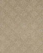 Momentous Beauty Patterned SmartStrand Carpet