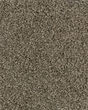 Dove Creek SmartStrand Textured 45oz Carpet