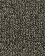 True Distinction EverStrand Carpet