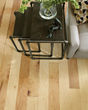 Ocala Maple Maple Natural 5" Hardwood