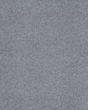 Opulent Tradition Textured Nylon 65oz Carpet