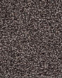 Oracle Textured Nylon Carpet