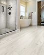 Allegiance + Acc Jackson Pine Pad Plank Luxury Vinyl