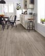 Allegiance + Acc Ambassador Pad Plank Luxury Vinyl