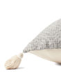 P0621 Light Grey 22"x22" Pillow