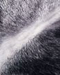 P0979 Charcoal 22"x22" Pillow