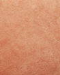 P1153 Sand/Blush 22" x 22" Pillow