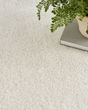 Pacific Shag PCS01 Ivory Area Rug