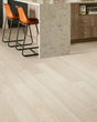 Paladin Plus Silver Dollar Luxury Vinyl