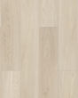 Paladin Plus Silver Dollar Luxury Vinyl