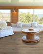 Paladin Plus Wild Dunes Luxury Vinyl