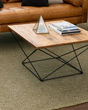 Drew & Jonathan Paloma Lichen Area Rug