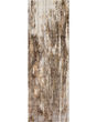 Parker 3705F Tan/Ivory/Brown Rug