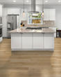 Pergo Extreme Preferred Wood Originals Crowned Vinyl