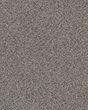 Pikes Peak Antique Pin Carpet