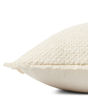 PLL0121 Ivory 22"x22" Pillow