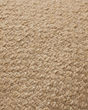 PLL0121 Natural 22"x22" Pillow