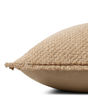 PLL0121 Natural 22"x22" Pillow