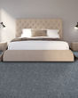 Polished Radiance SmartStrand 46oz Carpet