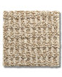 Portofino Nylon Patterned 27oz Carpet