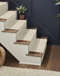 Pose Patterned Nylon Carpet