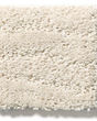 Pose Patterned Nylon Carpet