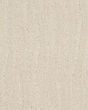 Pose Patterned Nylon Carpet