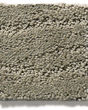 Pose Patterned Nylon Carpet