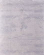 Prasad 39N8F Ivory/Silver/Gray Area Rug