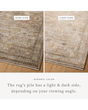 Priscilla PRL-05 Sand/Earth Area Rug