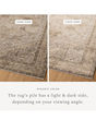Priscilla PRL-07 Beige/Earth Area Rug