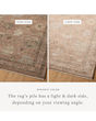 Priscilla PRL-08 Blush/Multi Area Rug