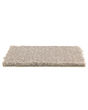 Pristine View SmartStrand Patterned Carpet