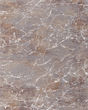 Pryor 39NHF Taupe/Brown/White Rug