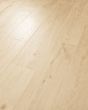 Pergo Elements Transom Preservation Oak 8" Laminate