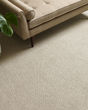 Purrfection Pet Friendly Nylon Carpet