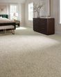 Purrsonality II Pet Friendly 60oz Carpet