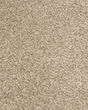Purrsonality III Pet Friendly 75oz Carpet