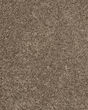 Purrsonality I Legend Carpet