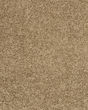 Purrsonality III Pet Friendly 75oz Carpet